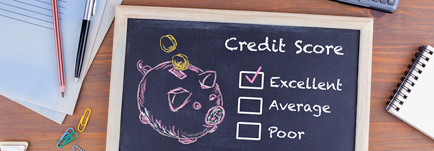 Credit Score Graphic with Excellent Checked